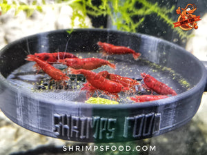 lollies pour crevettes aquarium shrimpsfood nourriture pour crevettes pellets pour crevettes