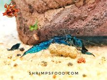 Laden Sie das Bild in den Galerie-Viewer, lollies pour crevettes aquarium shrimpsfood nourriture pour crevettes
