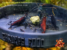 Laden Sie das Bild in den Galerie-Viewer, lollies pour crevettes aquarium shrimpsfood nourriture pour crevettes
