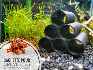 cachette pour crevette aquarium shrimpsfood