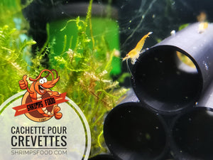 cachette pour crevette aquarium shrimpsfood