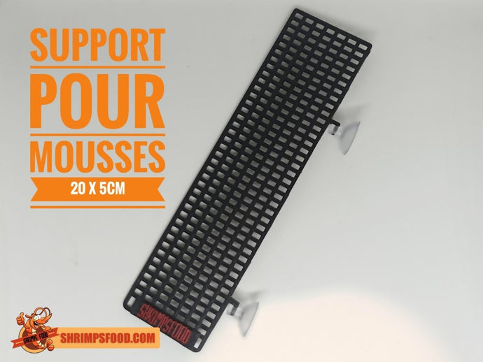 Support mousses 20x5cm