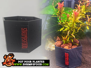 Pot pour plantes au sol