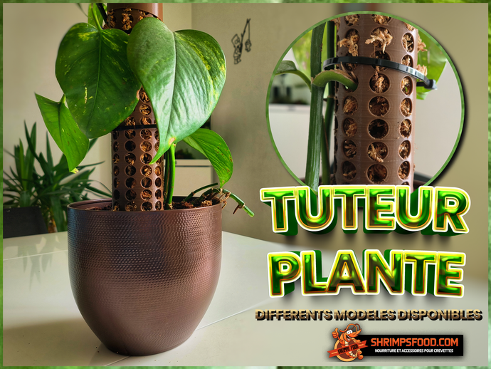 Tuteur sphaigne pour plante