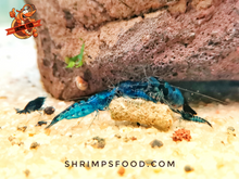 Charger l&#39;image dans la galerie, lollies pour crevettes aquarium shrimpsfood nourriture pour crevettes
