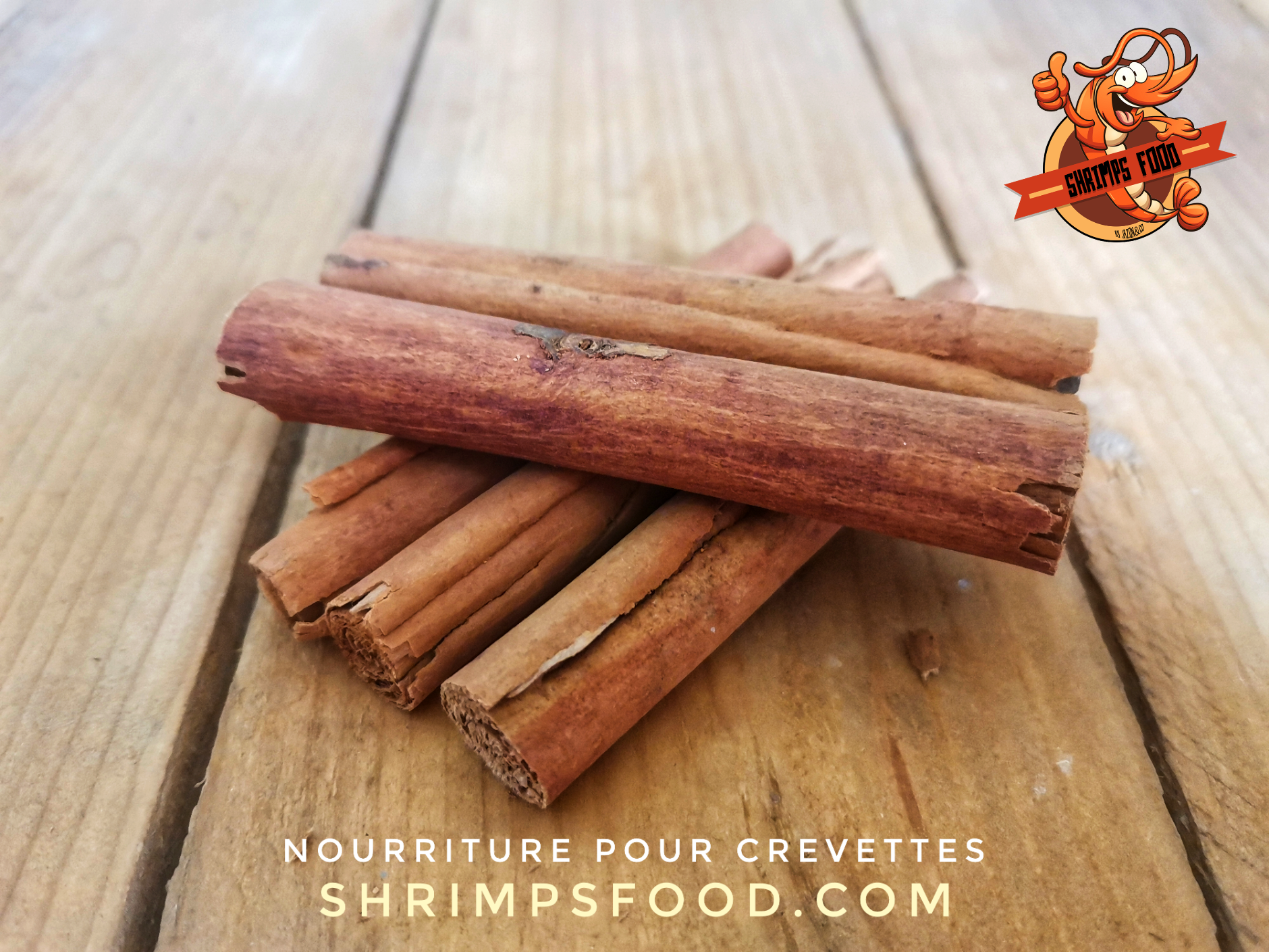 Sticks Olympicus nourriture pour crevettes – Shrimpsfood