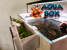 Laden Sie das Bild in den Galerie-Viewer, Aqua Box Shrimpsfood
