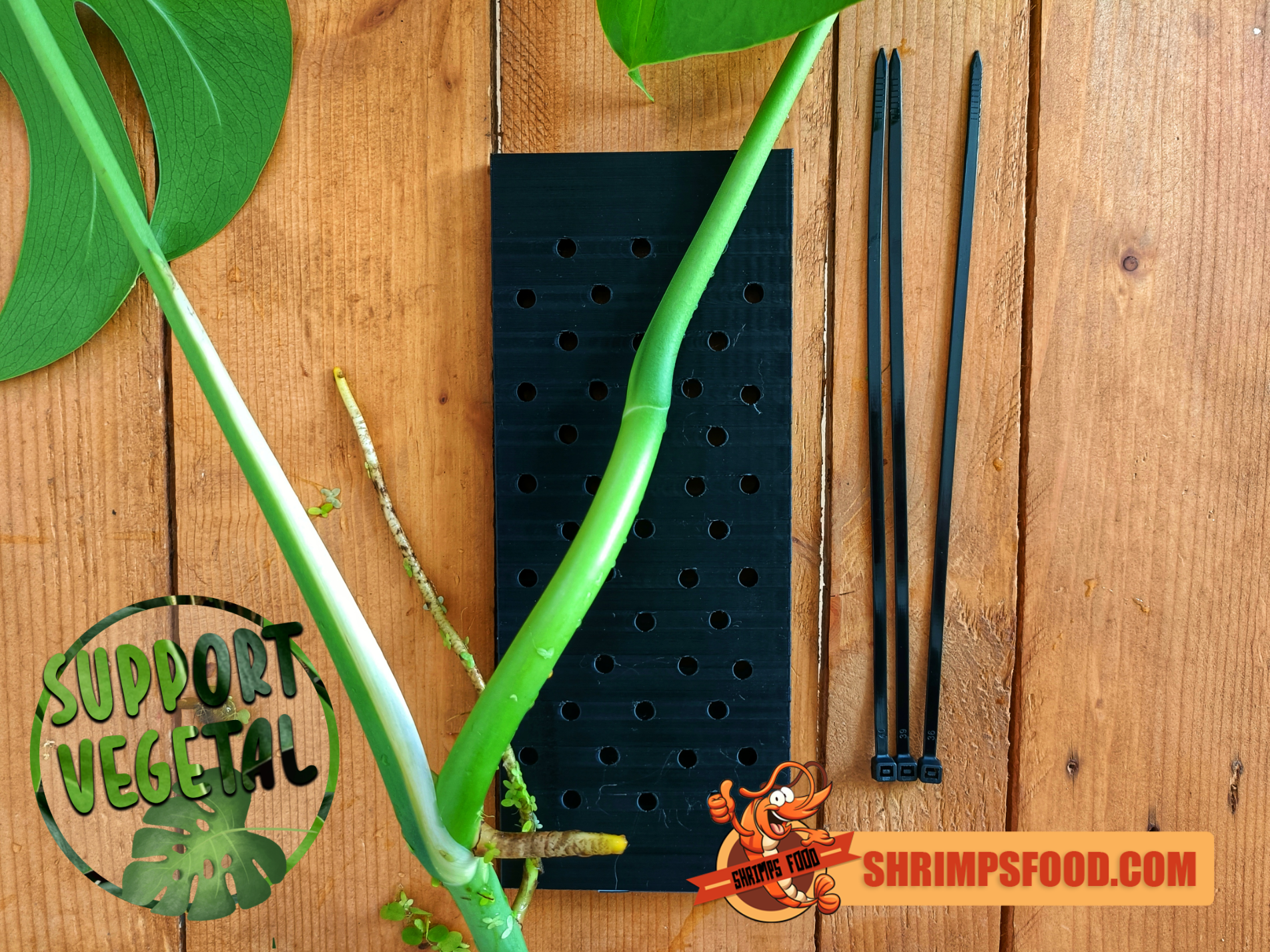Support boutures plantes – Shrimpsfood