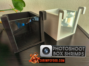 Photoshoot Box shrimp