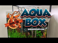 Laden und Abspielen von Videos im Galerie-Viewer, Aqua Box Shrimpsfood
